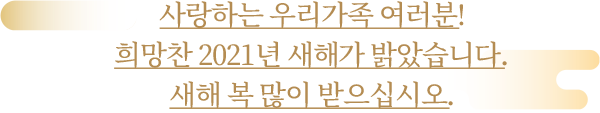 사랑하는 우리가족 여러분! 희망찬 2021년 새해가 밝았습니다. 새해 복 많이 받으십시오.