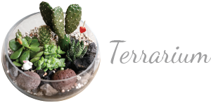 Terrarium